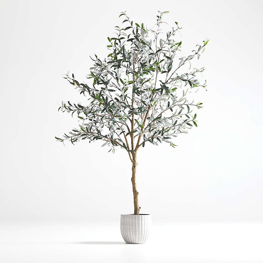 Crate & Barrel - Faux Olive-Tree in Pot - Home & Garden / Decor